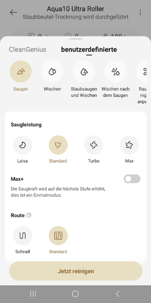 Mögliche Reinigungseinstellungen