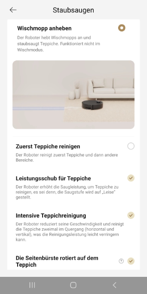 Mögliche Teppich-Einstellungen