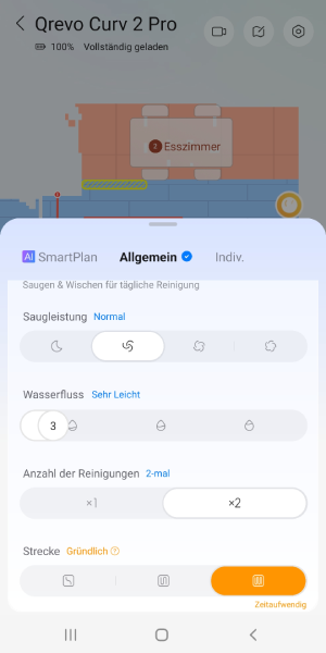 Hier werden die Reinigungseinstellungen definiert. 