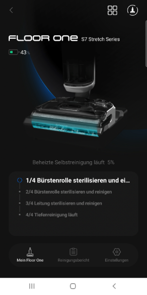 Selbstreinigung
